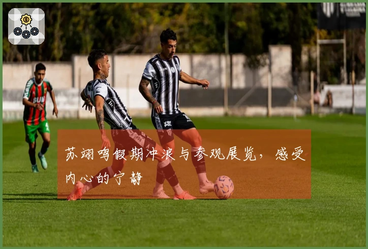 苏翊鸣假期冲浪与参观展览，感受内心的宁静